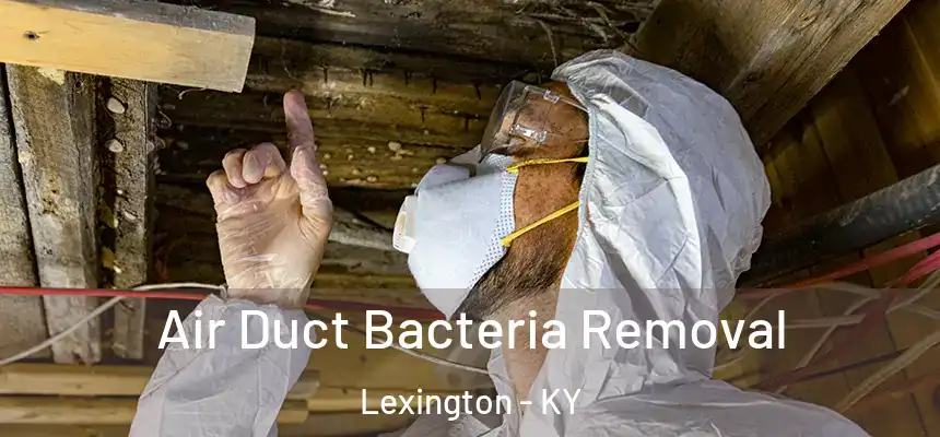Air Duct Bacteria Removal Lexington - KY