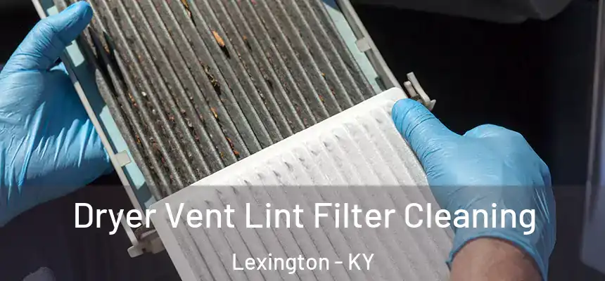 Dryer Vent Lint Filter Cleaning Lexington - KY