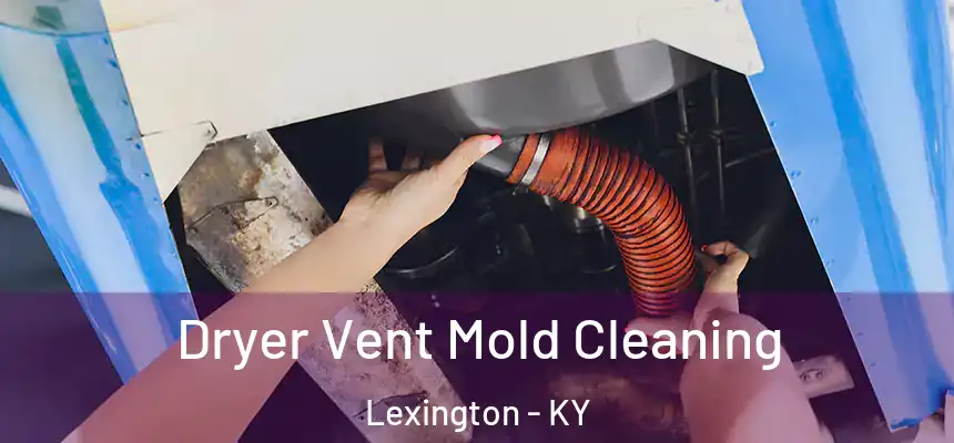 Dryer Vent Mold Cleaning Lexington - KY