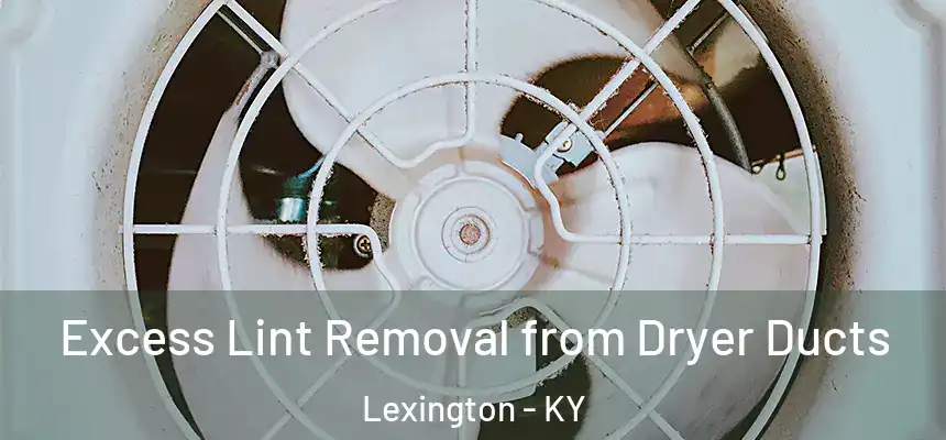  Excess Lint Removal from Dryer Ducts Lexington - KY