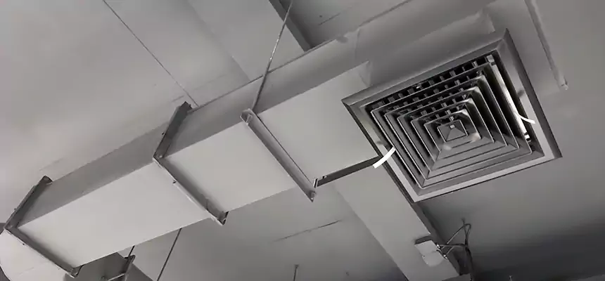 Our Pest Removal From Ducts Services in Lexington, KY