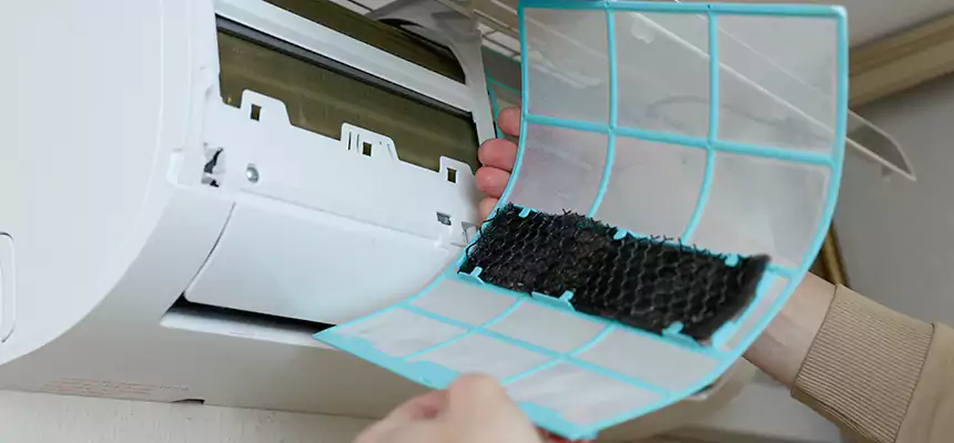 Gentle Ductwork Odor-Control Pet Dander Duct Cleaning in Lexington, KY