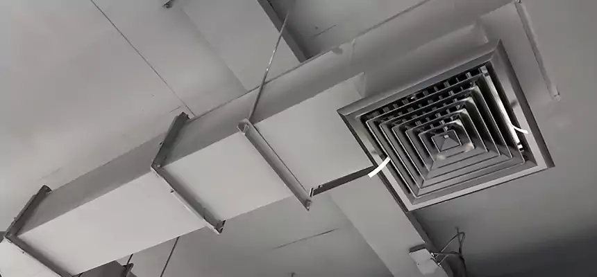 Our Rodent Droppings In Vents Services in Lexington, KY