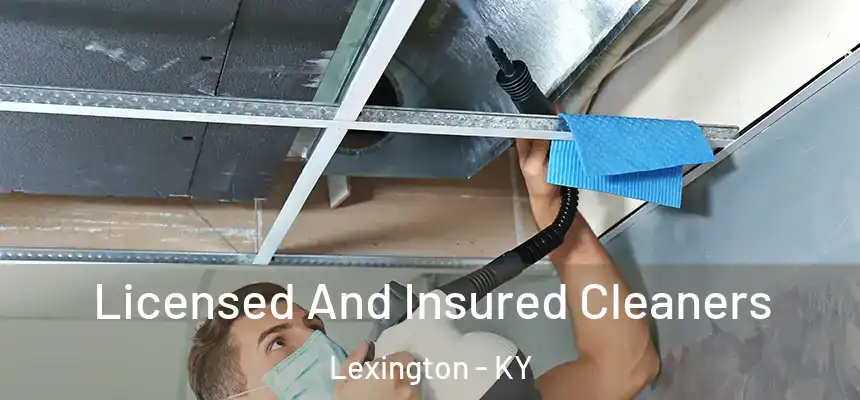 Licensed And Insured Cleaners Lexington - KY