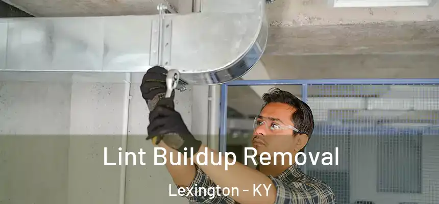 Lint Buildup Removal Lexington - KY