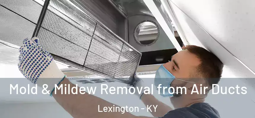 Mold & Mildew Removal from Air Ducts Lexington - KY