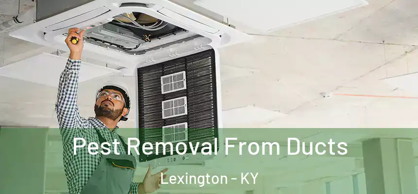 Pest Removal From Ducts Lexington - KY