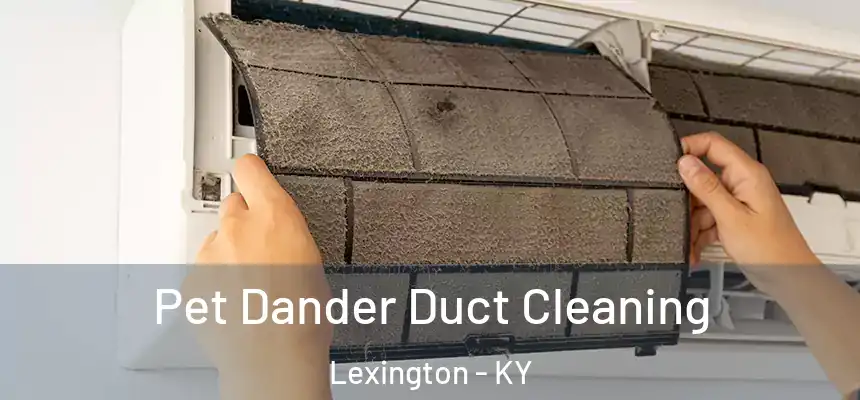 Pet Dander Duct Cleaning Lexington - KY