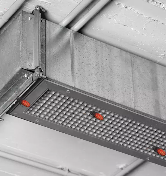 About Air Duct Cockroach Removal in Lexington, KY