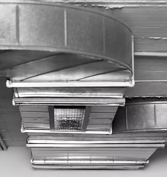 Professional Air Duct Pest Removal in Lexington, KY