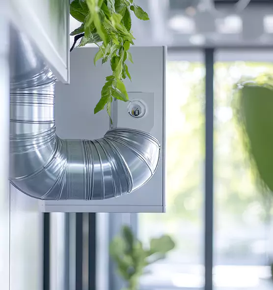 Professional Eco-Friendly Duct Cleaning Services in Lexington, KY