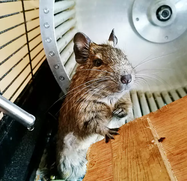 Why Homeowners & Businesses Trust Us Lexington, KY