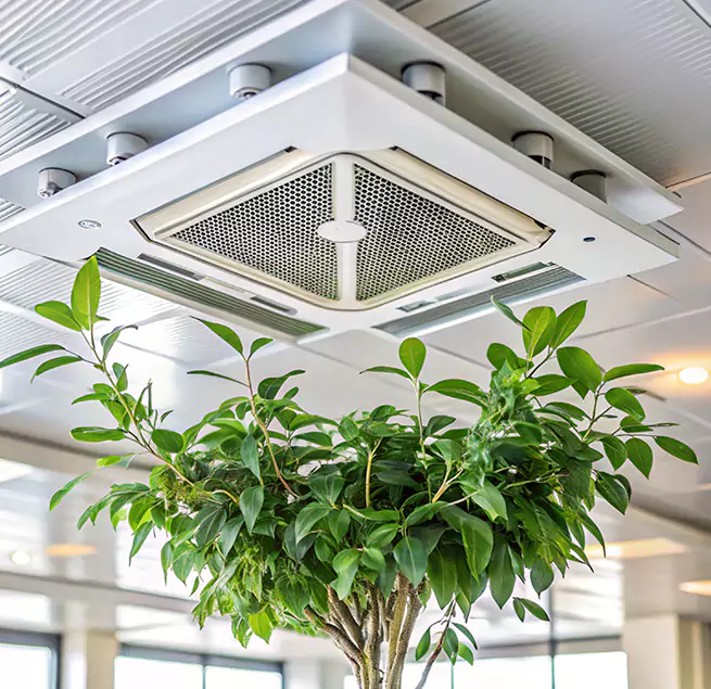 Why Homeowners & Businesses Trust Us in Lexington, KY?