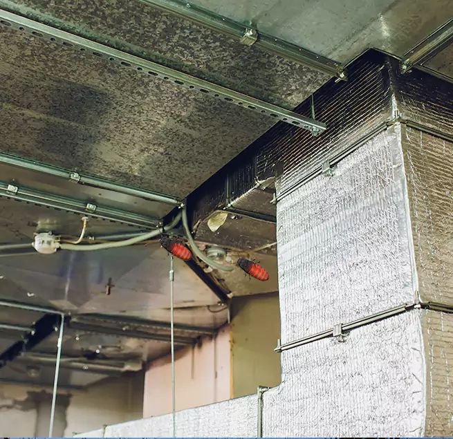 Why Homeowners & Businesses Trust Us Lexington, KY?