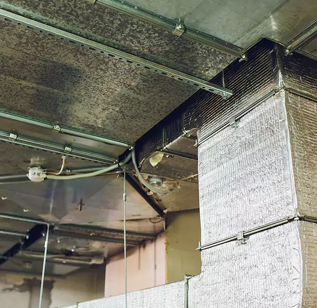 Why Homeowners & Businesses Trust Us in Lexington, KY?