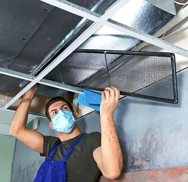 Why Homeowners Businesses Trust Us in Lexington, KY